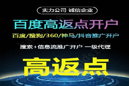 谷歌竞价广告与SEO结合的营销案例解析